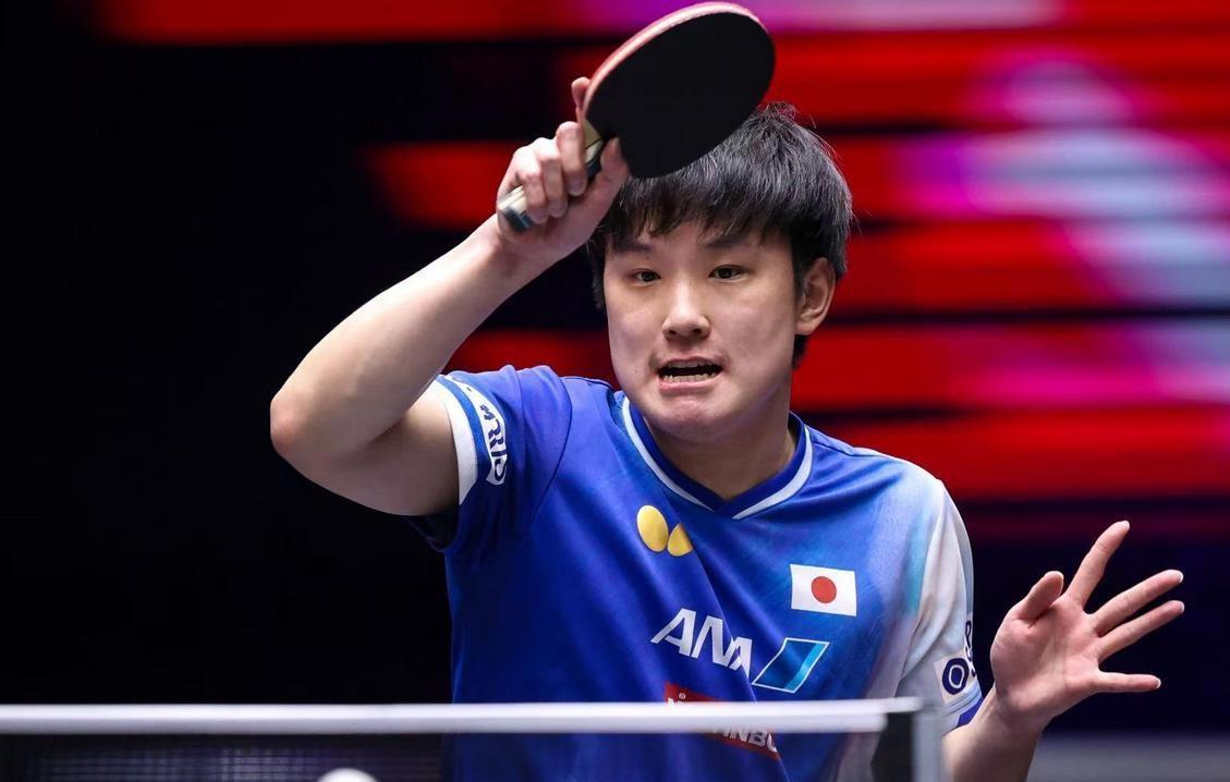 开云官网-瑞典队轻取葡萄牙队，张本智和状态火热的简单介绍