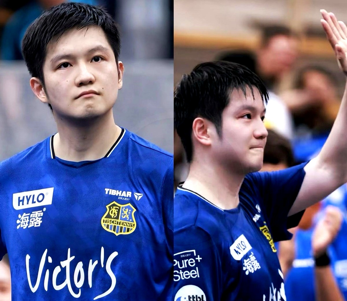 英格兰队绝杀德国队，樊振东扛起全队