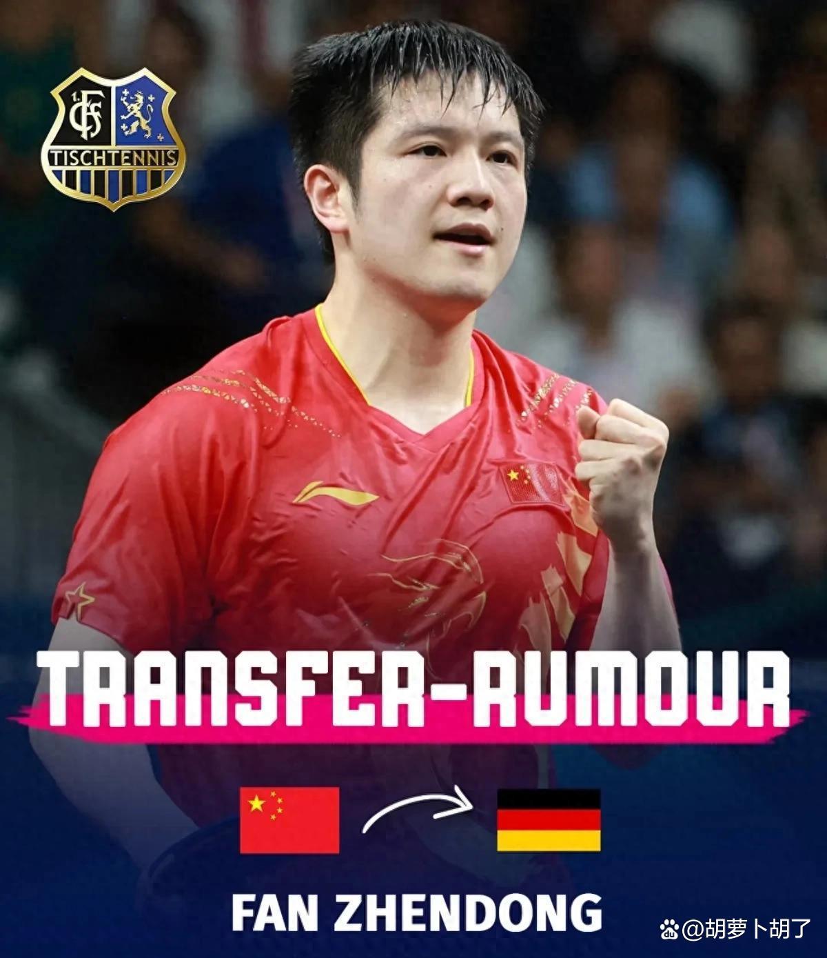 英格兰队绝杀德国队，樊振东扛起全队